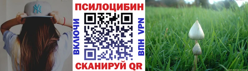 Купить  Ершов  Галлюциногенные грибы мухоморы 